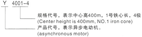 西安泰富西玛Y系列(H355-1000)高压YKK6303-8三相异步电机型号说明